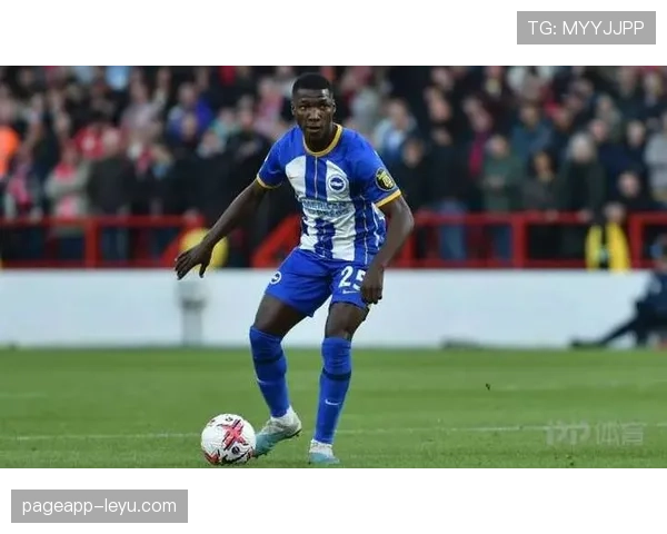 布莱顿成功续约凯塞多,中场实力再获强援引关注 布莱顿成功续约凯塞多,中场实力再获强援引关注