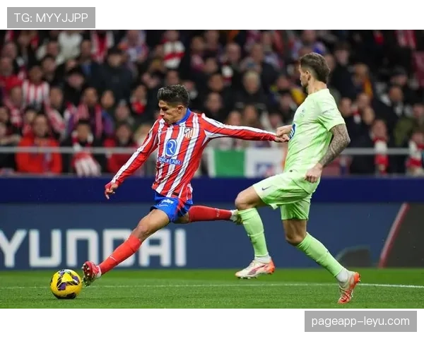 奥布拉克重返国家队,状态回升备战国际赛事