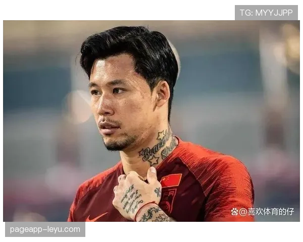 张琳芃技术特点